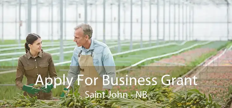 Apply For Business Grant Saint John - NB